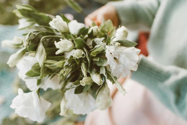 Dekoracje sezonowe i świąteczne